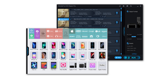 DVD to iPad Ripper Overview