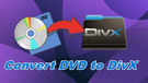 Convert DVD to DivX