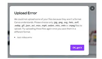 Canva Upload Error Message