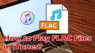 Play FLAC Files in iTunes