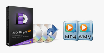 Windows 10/11 DVD player free download