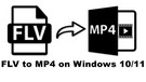 Convert FLV Files to MP4