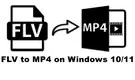 Convert FLV to MP4 Windows 10