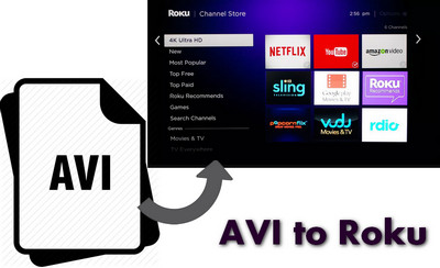 The best Roku AVI video converter