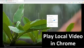 Play Videos in Chrome