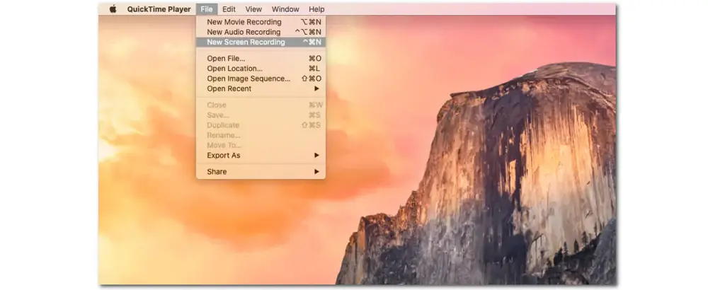 Record Flash Video on Mac