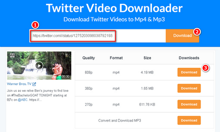 Online Twitter Video Downloader