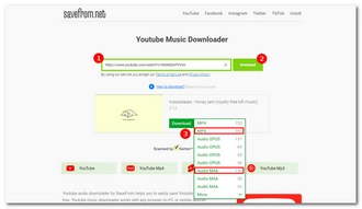 Download YouTube Music and Videos on Mac