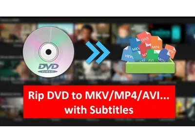 Convert DVD to MKV with Desired Subtitles