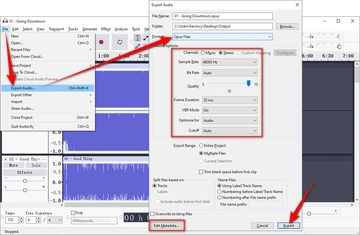 Choose Opus as Export Format & Configure Settings