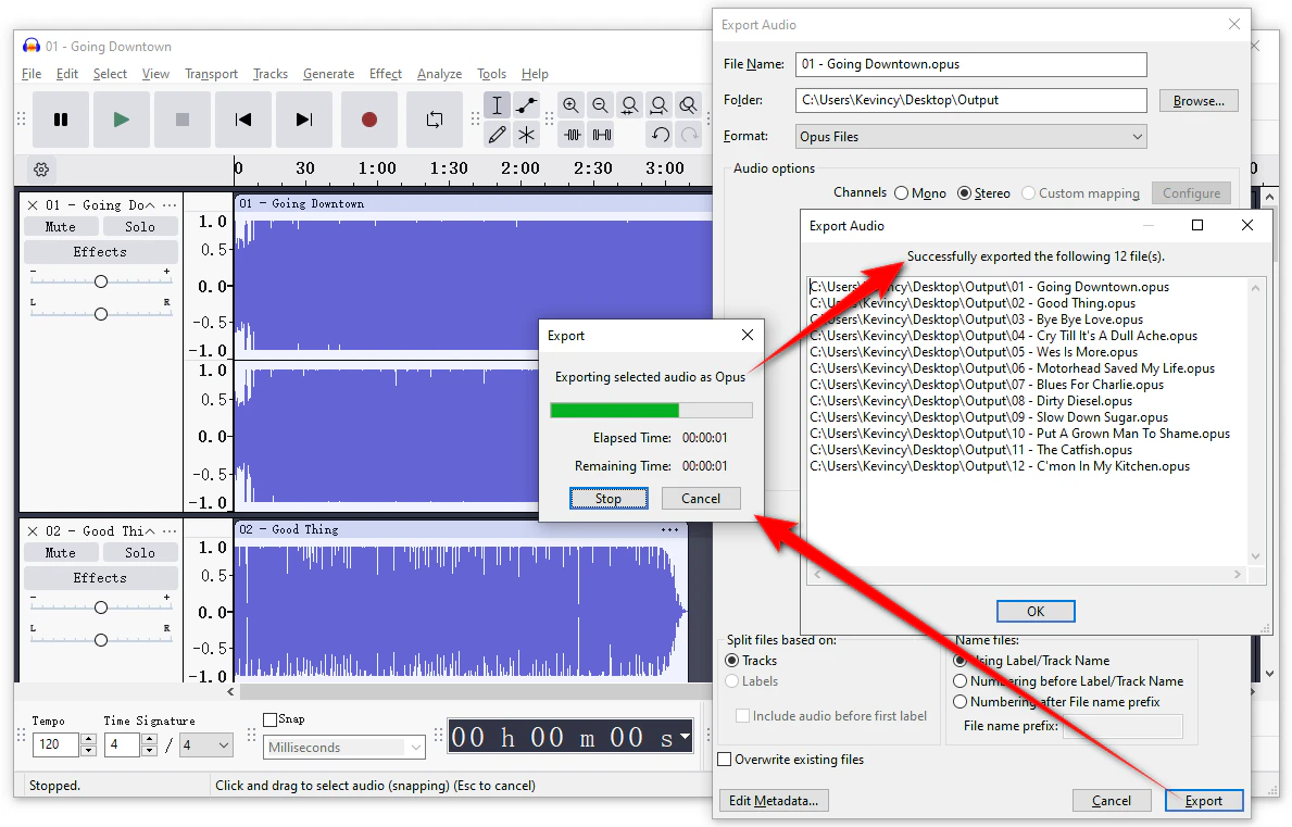 Start Conversion & Export Opus Files