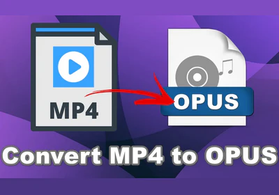 How to Convert MP4 to Opus