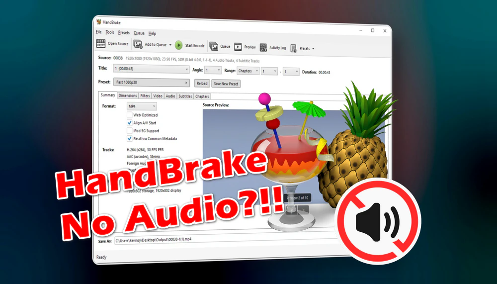 Fix HandBrake No Audio Issue