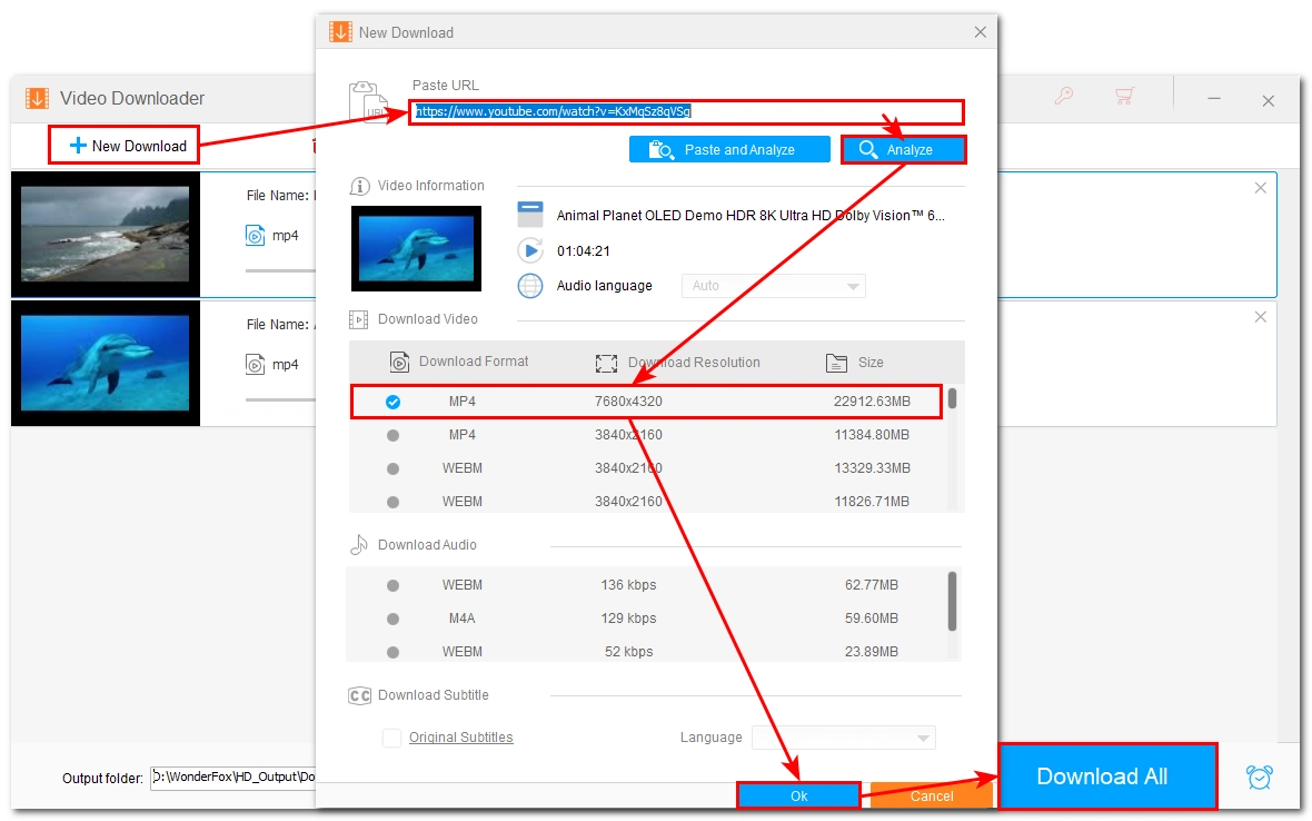 Convert Online Video to MP4