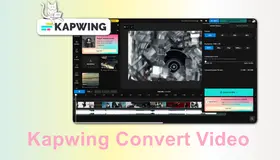 Kapwing Video Converter