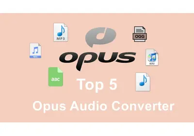 Opus Converter