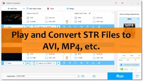 STR Video Converter