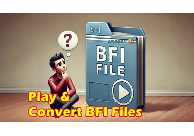 Play and Convert BFI Files