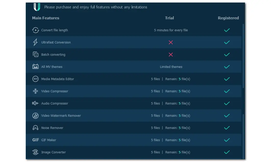 VideoSolo Unregistered Limitations