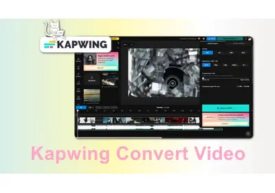 Kapwing Video Converter