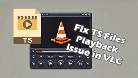 VLC TS File