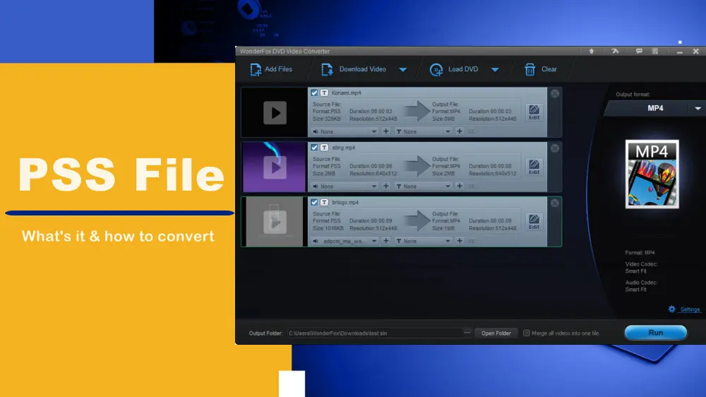 PSS File Converter