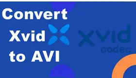 Convert Xvid to AVI