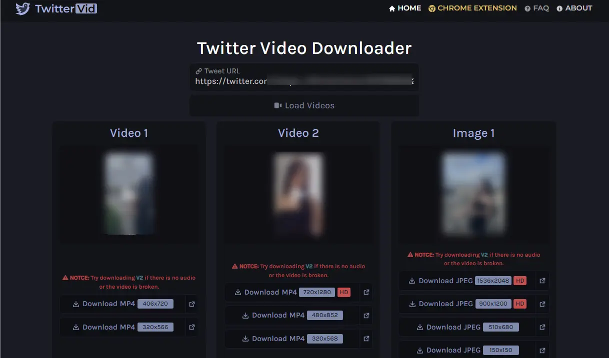 Download Multiple Twitter Media Online