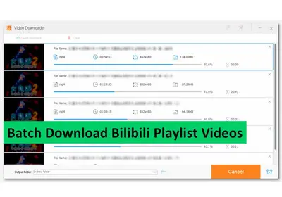 Download Bilibili Playlist