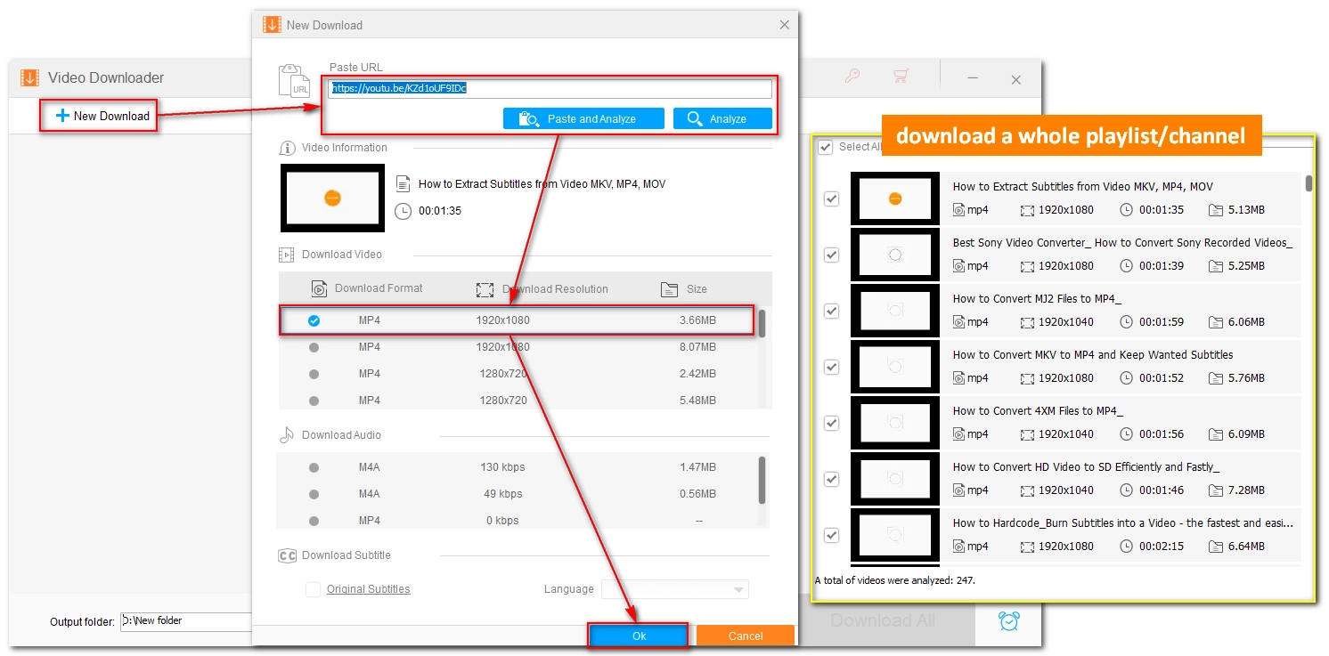 Analyze URL and Select Download Options