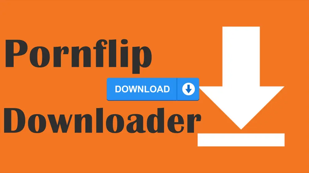 Best Free Pornflip Video Downloader