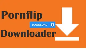 Pornflip Downloader