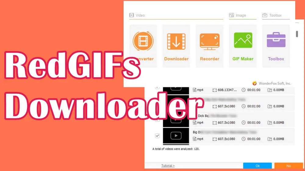 WonderFox RedGIFs Bulk Downloader