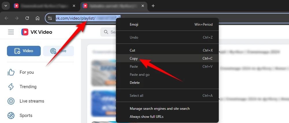 Copy the URL of a VK Video Playlist