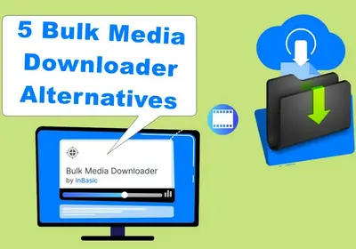 Bulk Media Downloader 