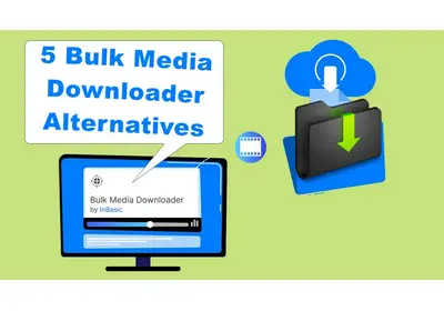 Bulk Media Downloader