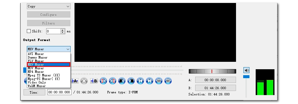 Select Output Format