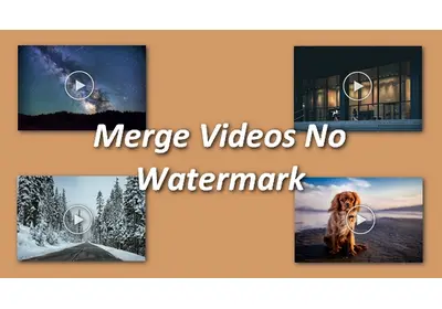 Merge Videos Without Watermark