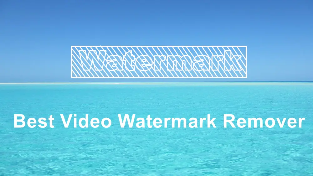 Free Video Watermark Remover