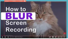 How to Blur a Screen Recording