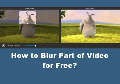 How to Blur Part of a Video