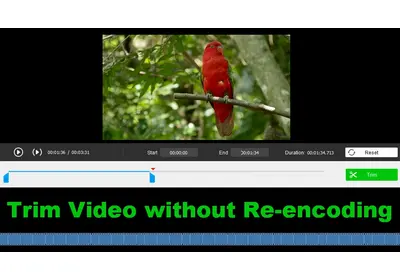 Trim Video without Re-encoding