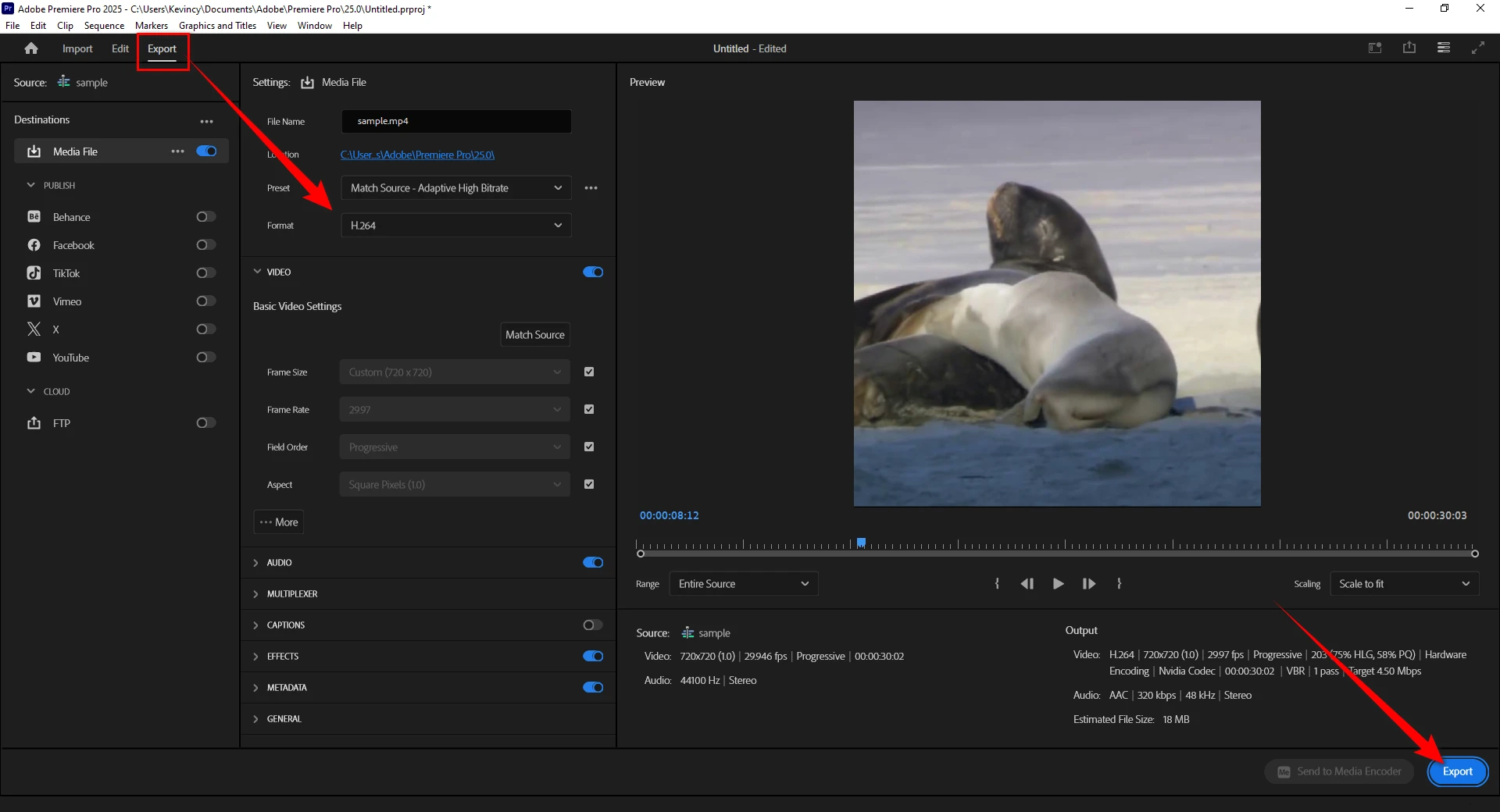 Render and Export the Square Video