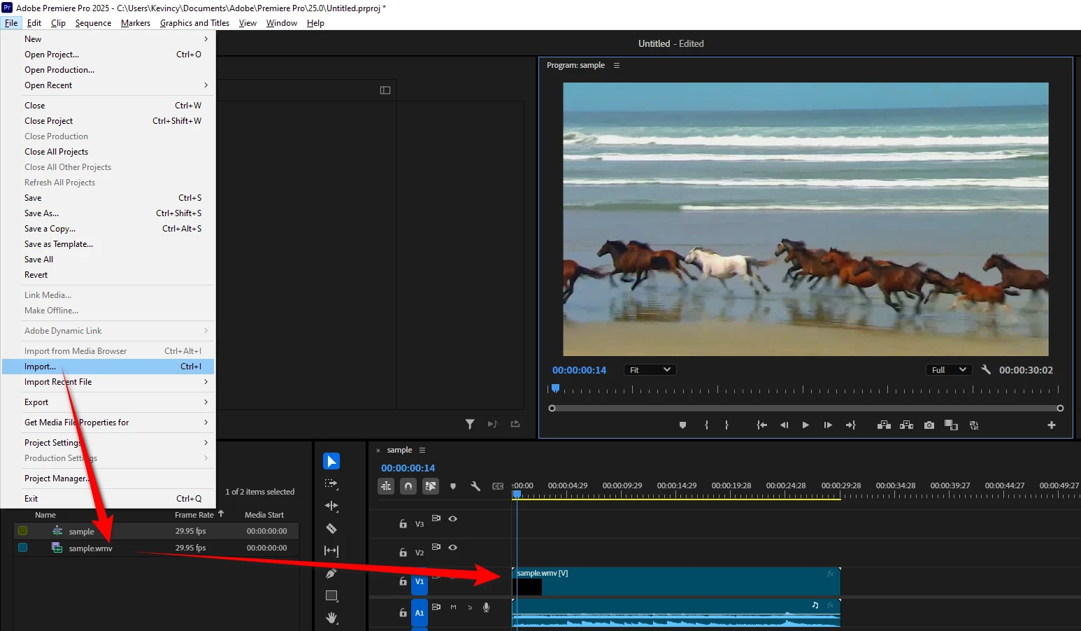 Add a Video to Premiere Pro