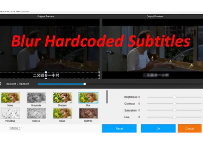 Blur Hardcoded Subtitles in Movies