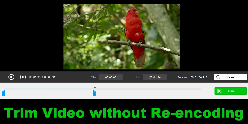 Trim Video without Re-encoding