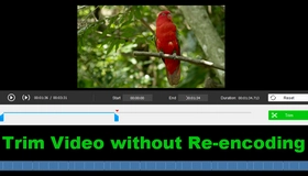 Trim Video without Re-encoding