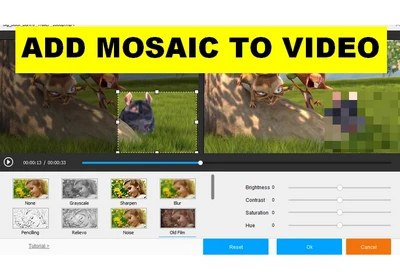 How to Add Mosaic Effect to a Video