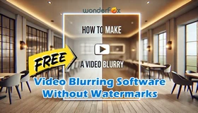 Video Blurring Software