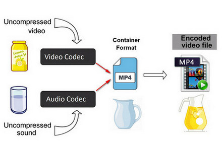 Check Video Codec